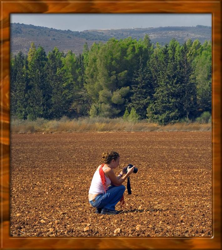...Once there were green fields, kissed by the sun...