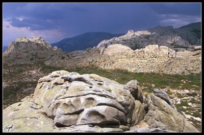 La Predriza del Manzanares