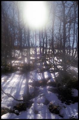 Mont-03-04-w.jpg