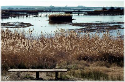 Tablas-012-w.jpg