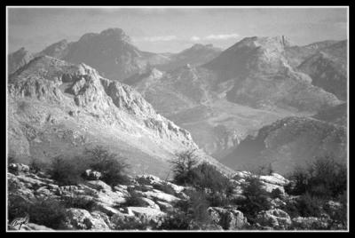 malaga-001-w-b.jpg