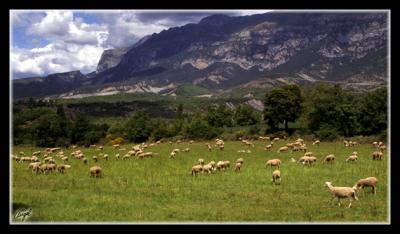pirineos-009.jpg