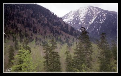 pirineos-012.jpg