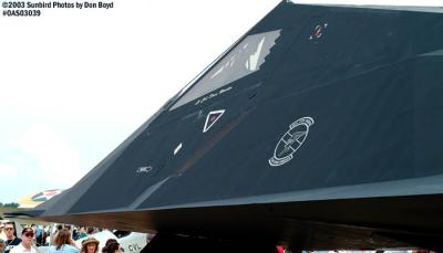 USAF F-117A Nighthawk Stealth Fighter AF80-786 military aviation air show stock photo #6816
