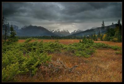 Glacier Creek Valley.jpg