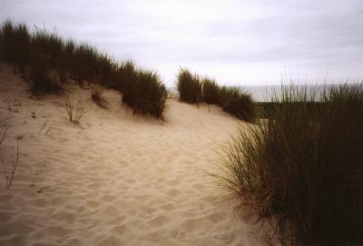 dunes, grass and footprints