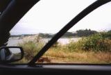 Looking at the dunes through the window of a Subaru SVX