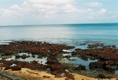 Praia do Meirelles