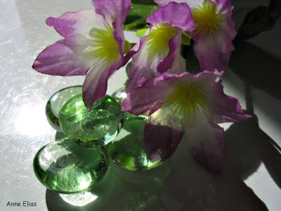 flowers + glas