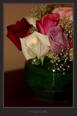 u33/antoinevu/medium/36031206.IMG_36121200.jpg