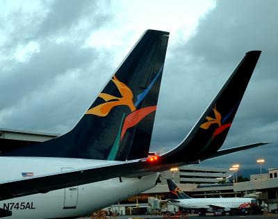 AQ Wingletts Bird of Paradise.jpg