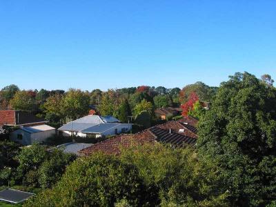green suburb