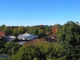 green suburb