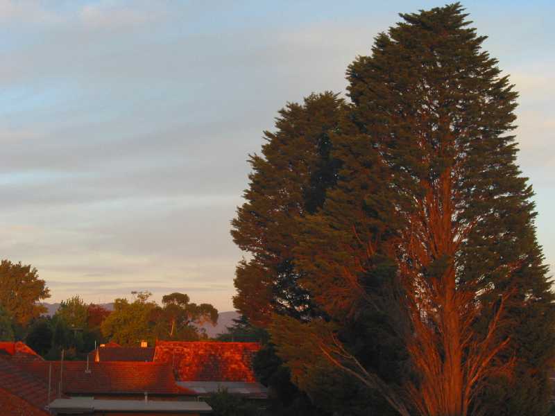 towards the hills