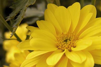 DSCN8897.jpg