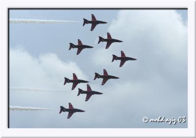 DSC_1607.jpg