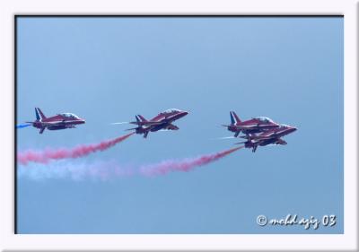 DSC_1701.jpg