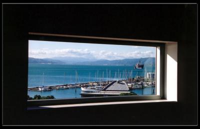 Wellington...view from Museum window