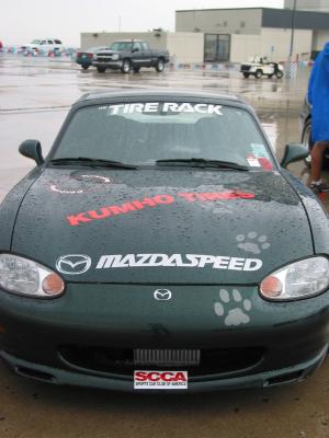 Wet Dog
