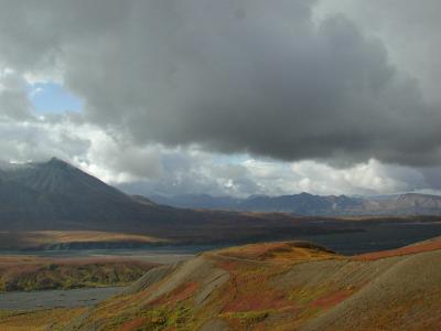 Denali NP