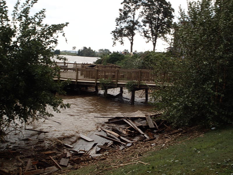 IMAG0062.JPG