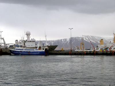 Fishing boats in Reykjavik Harbor