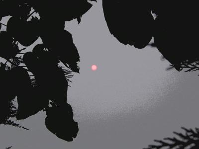 sun at 6pm