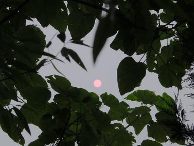 sun at 6pm