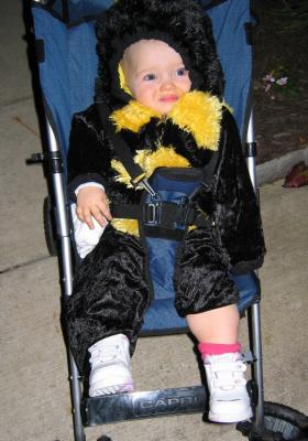 Bumblebee