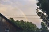 rainbow with wires