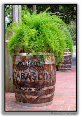 Tabasco Barrel