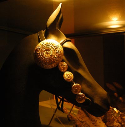 Gold bridle found buried with a horse in a tomb