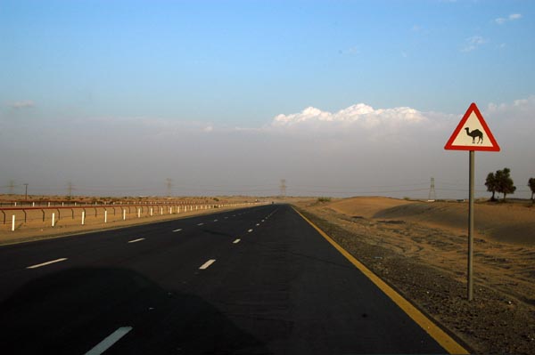 A road follows the entire length of the camel track, which is much longer than a horse racetrack