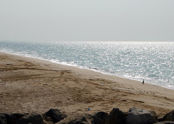 Beach on the Gulf coast of the Umm Al Quwain peninsula