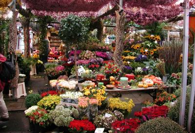 Flower Market, Amsterdam