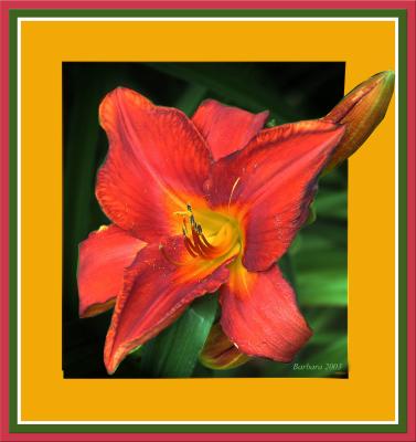 misc_flowers_