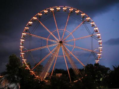 ferris wheel at dusk
