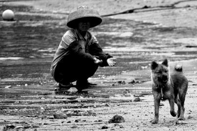 DOG-0008