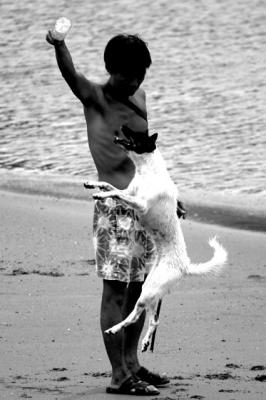 DOG-0009