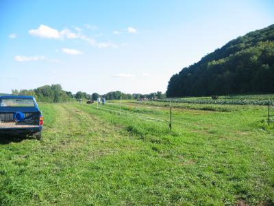 The Fort Hill Farm