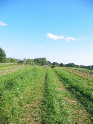The Long Row