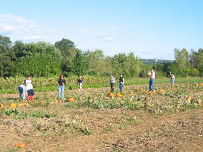 The Pumpkin Pickers