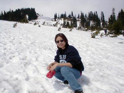 Reflection Lake - Mt. Rainier 2