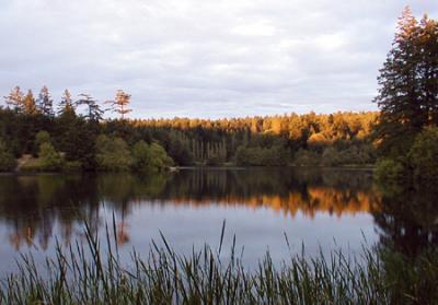 Sunset at Lakedale campground - SanJuan Island 1
