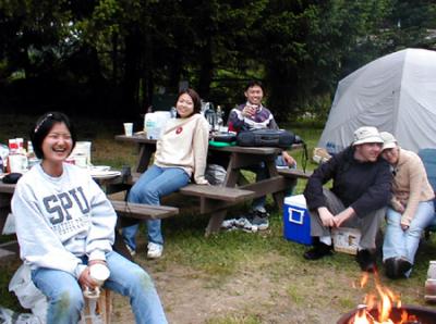 Firewood gathering