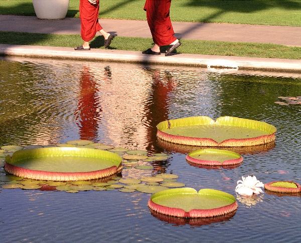 Two Buddhists At The Waters Edge