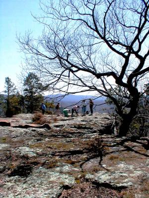 u33/catbounds/medium/35974879.LunchbreakatKingsBluff.jpg