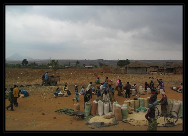 Village