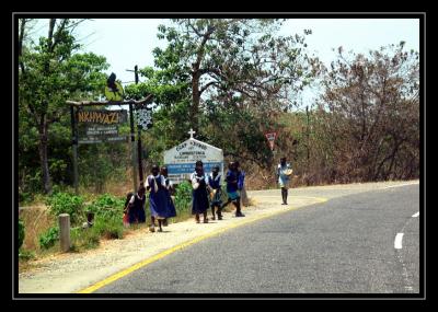 Nkhwazi Lodge