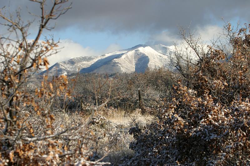 View from our cabin.jpg